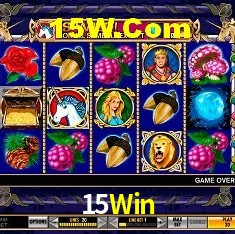 Estatísticas 15Win